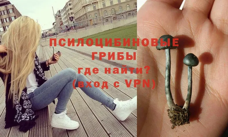 Виды наркоты Кемь Марихуана  COCAIN  A PVP  МЕГА   Гашиш  МЕФ  Псилоцибиновые грибы 