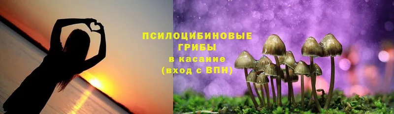 Галлюциногенные грибы Psilocybine cubensis  ОМГ ОМГ рабочий сайт  Кемь 